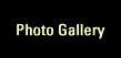 Photo Gallery