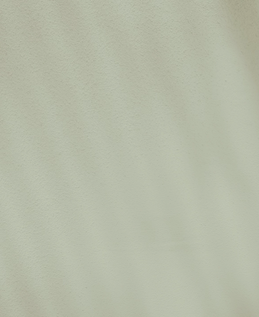 Sage green backdrop